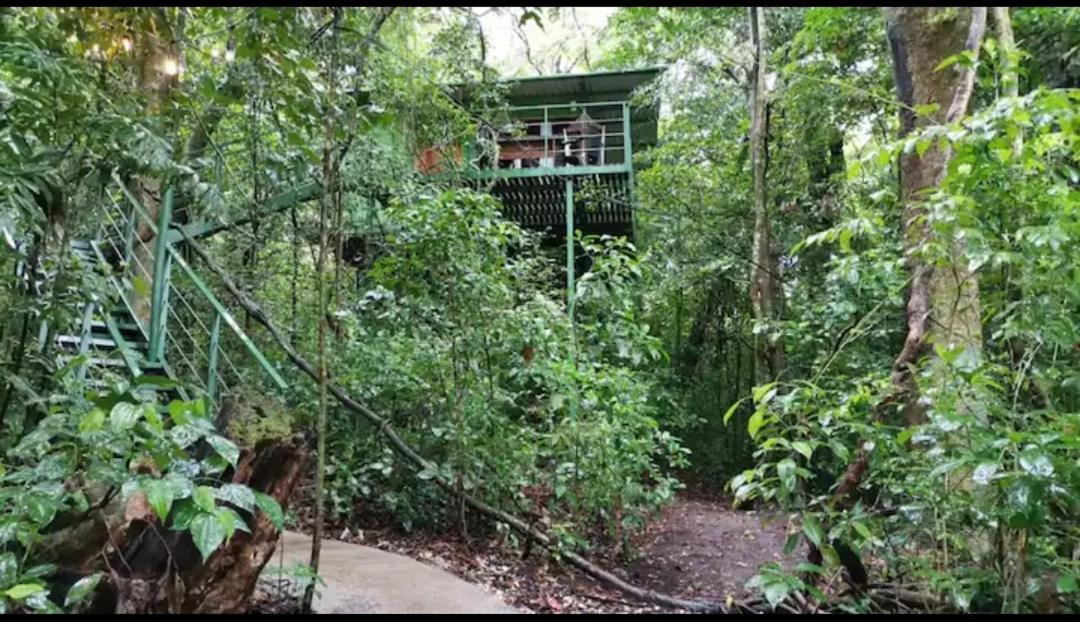 Jungle Living Tree Houses Monteverde Kültér fotó