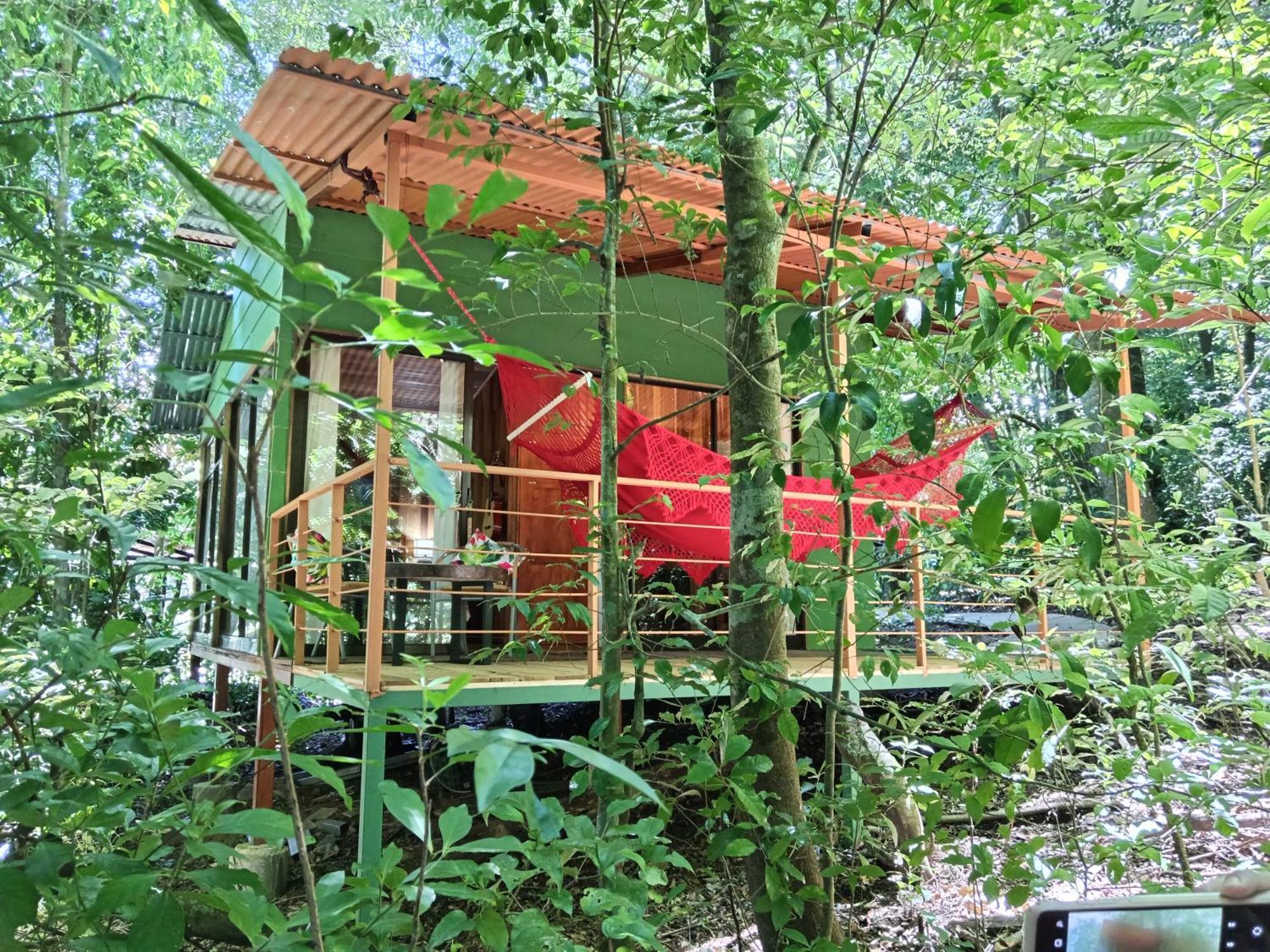 Jungle Living Tree Houses Monteverde Kültér fotó