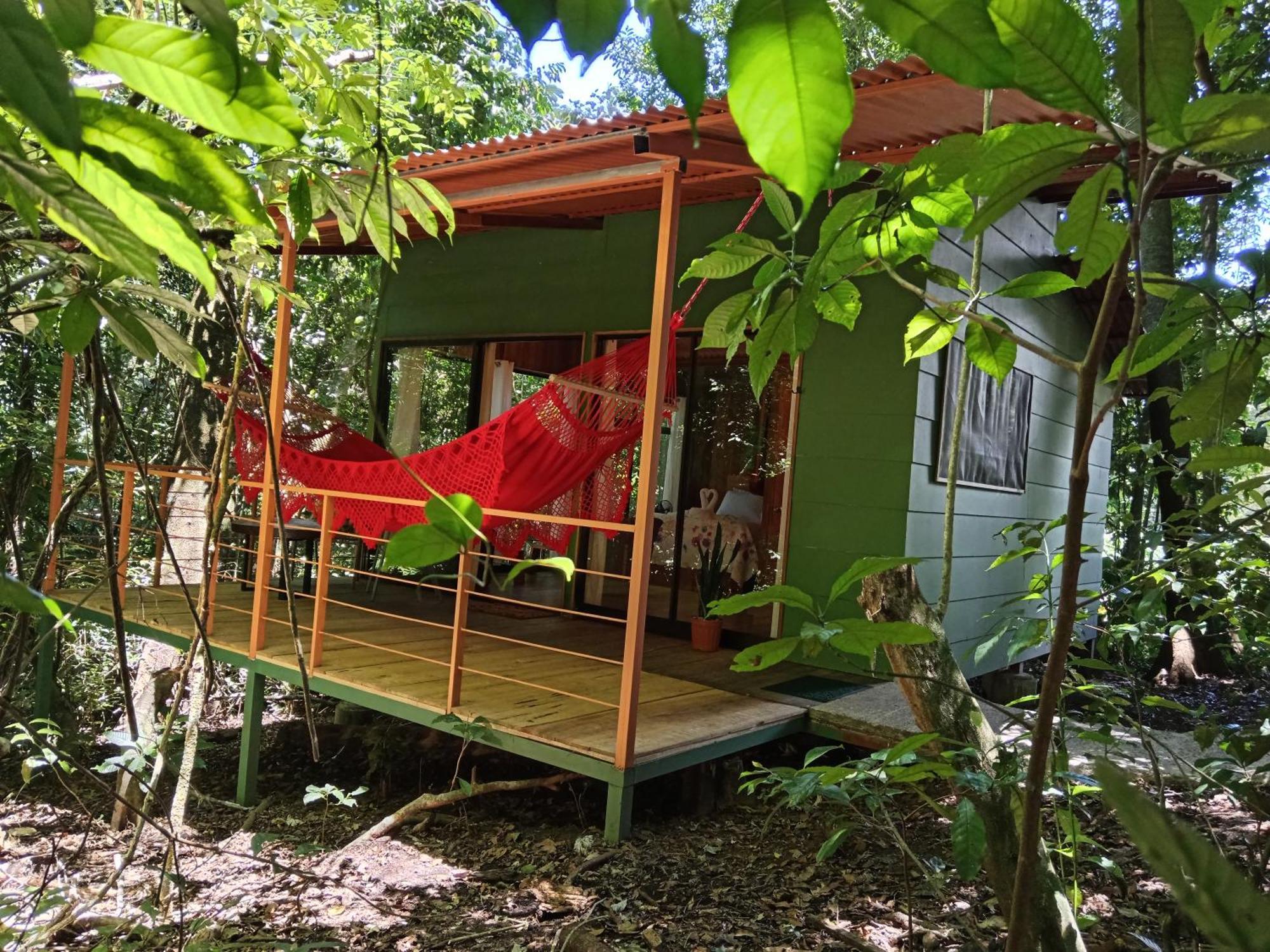 Jungle Living Tree Houses Monteverde Kültér fotó