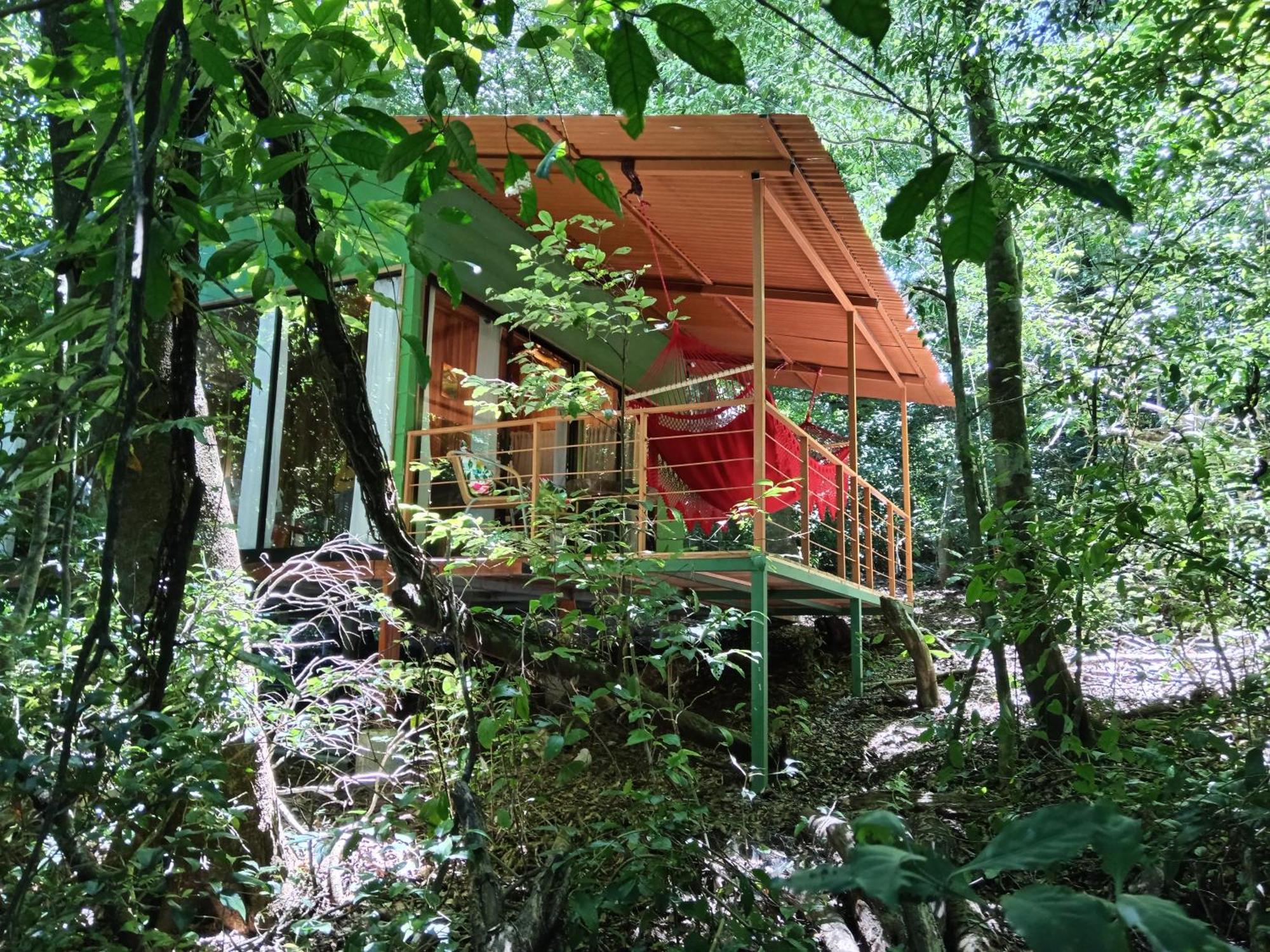 Jungle Living Tree Houses Monteverde Kültér fotó