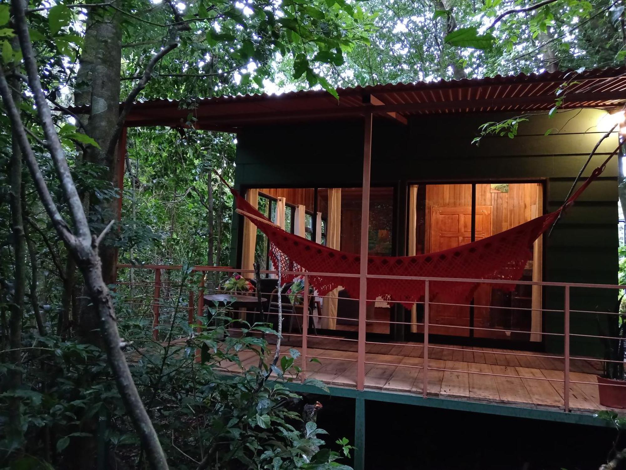 Jungle Living Tree Houses Monteverde Kültér fotó