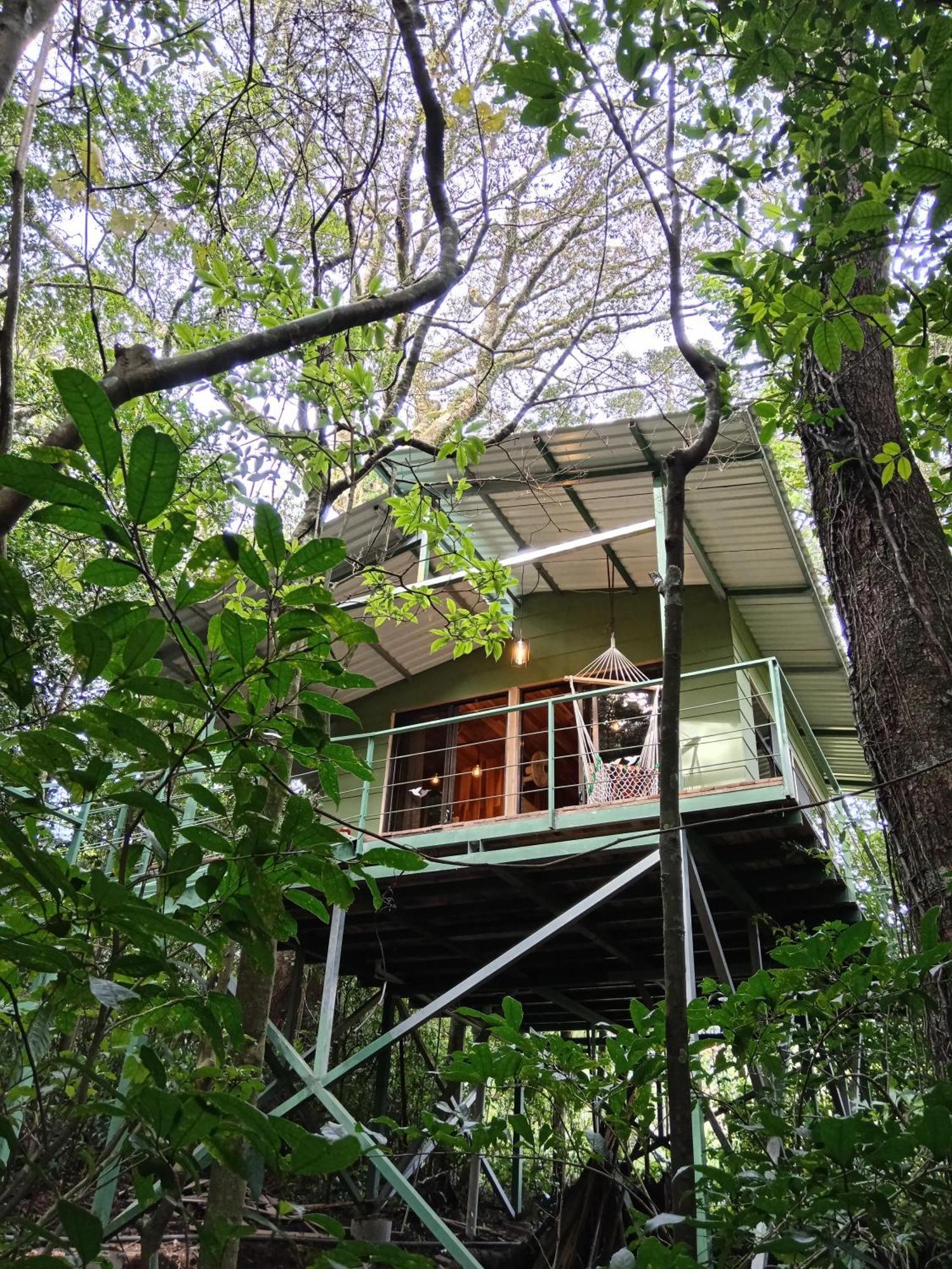 Jungle Living Tree Houses Monteverde Kültér fotó