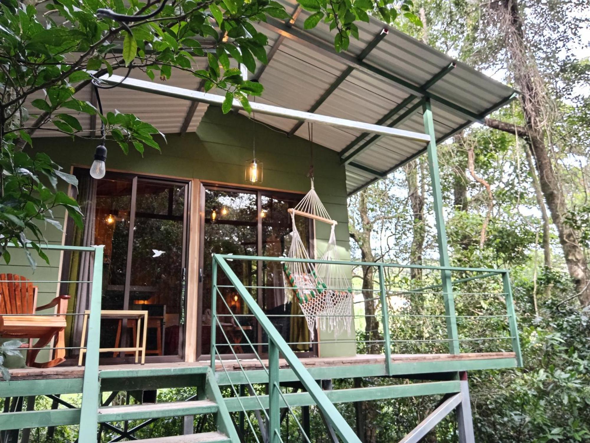 Jungle Living Tree Houses Monteverde Kültér fotó