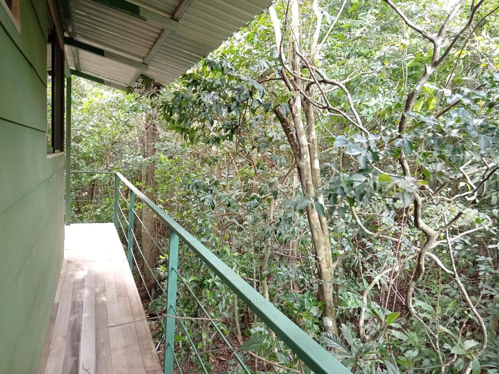 Jungle Living Tree Houses Monteverde Kültér fotó
