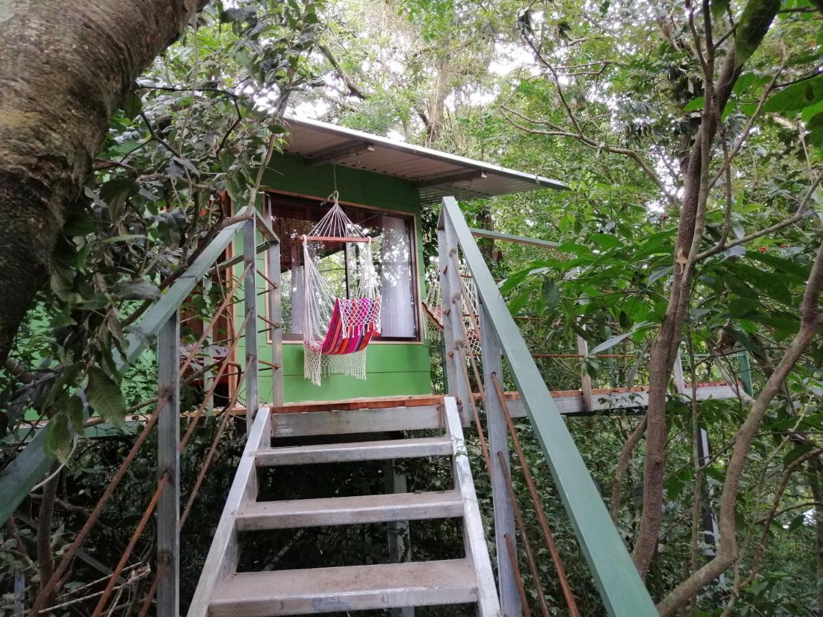 Jungle Living Tree Houses Monteverde Kültér fotó
